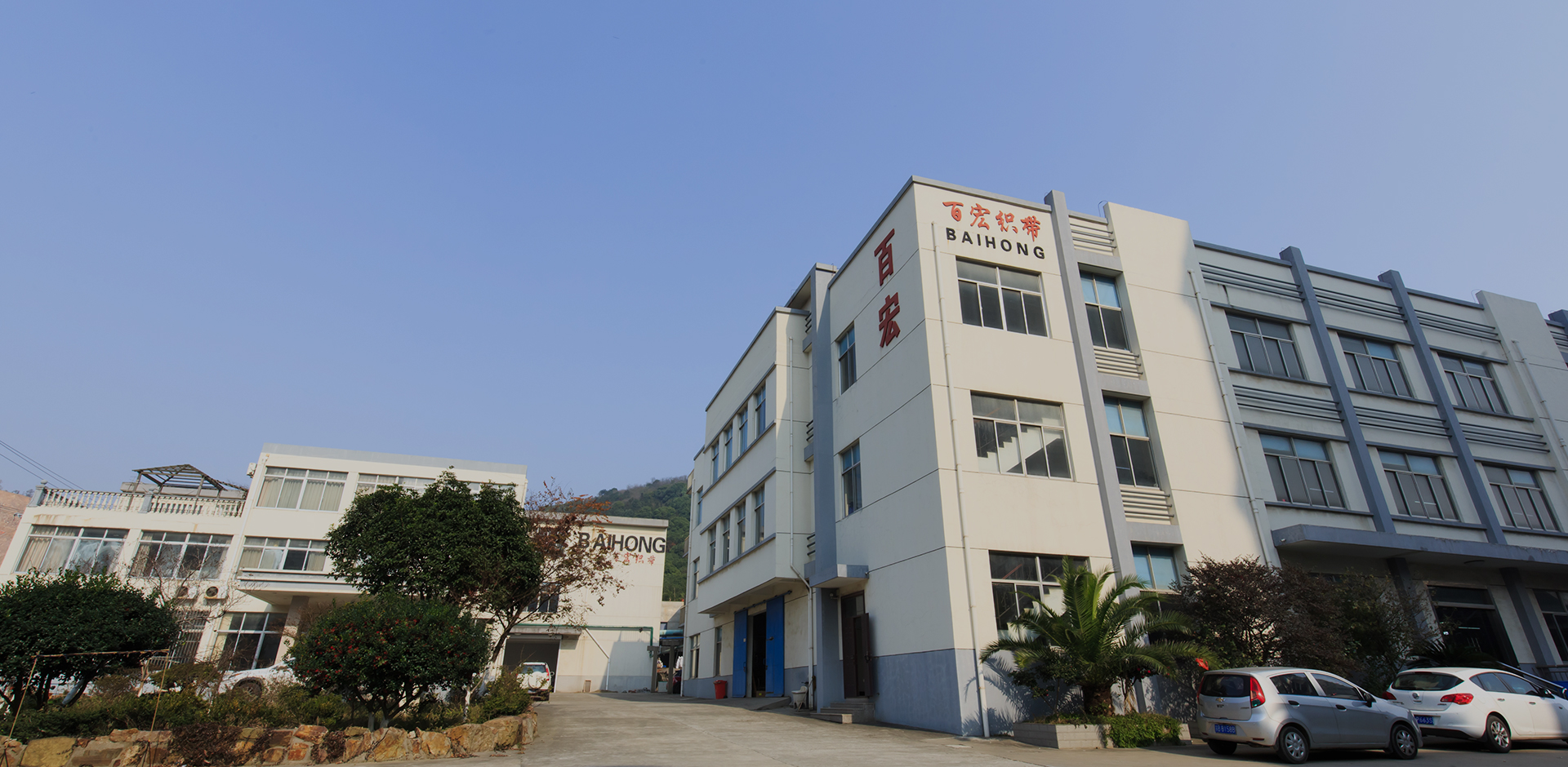 Baihong tiếp tục cố gắng trở thành một nhà lãnh đạo trong ngành công nghiệp trang web 
